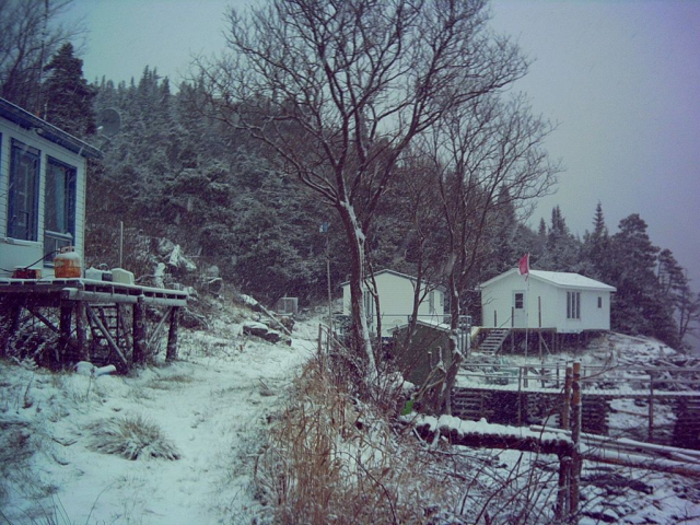 19 Cabins in Clattice Harbour 2006. Credit: Loretta Ward